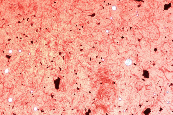 Armor-Dilloz Red under magnification: many long and fine fibers surround rubber particles of different sizes.