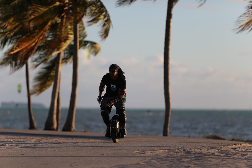 A rider passes between palm trees in warm sunset light.